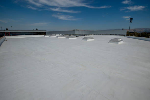 Best Chimney Flashing Repair  in Oak Park, CA